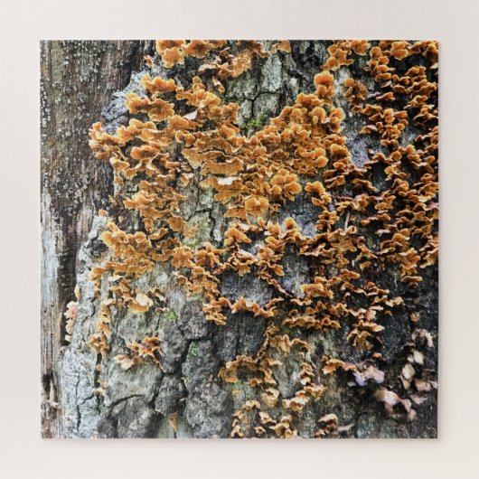 Baumpilz Puzzle (Vertikal)