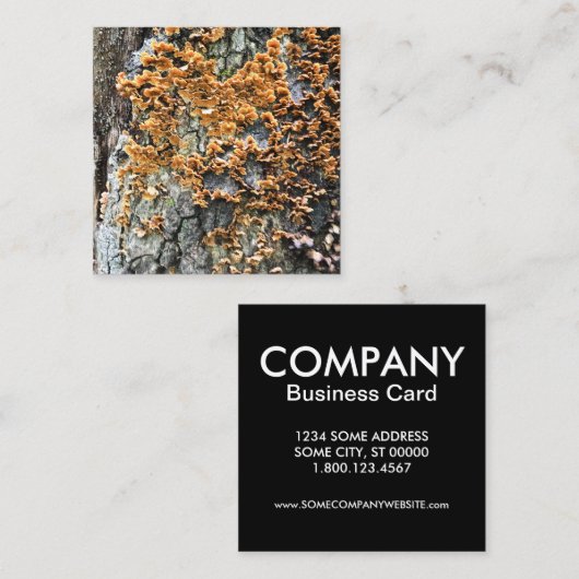 Baumpilz Quadratische Visitenkarte (Vorne/Hinten)