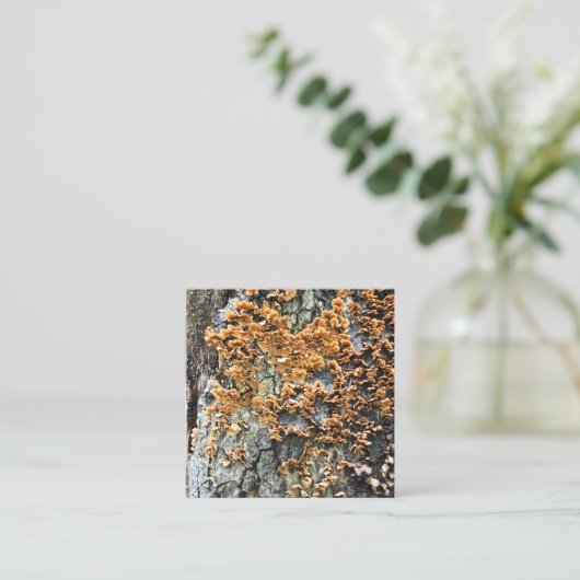 Baumpilz Quadratische Visitenkarte (Stehend Vorderseite)