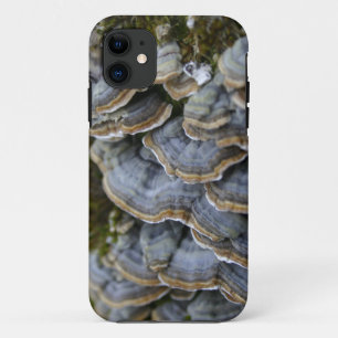 Baumpilze Handyhülle, iPhone SE + iPhone 5/5S Case-Mate iPhone Hülle