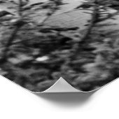 Baumplakat Poster (Ecke)