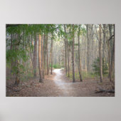 Baumplanke Poster (Vorne)