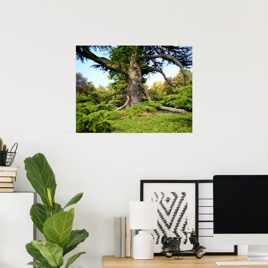 Baumposter der Zeder des Libanon Poster (Heimbüro)