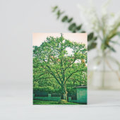 Baumpostkarte Postkarte (Stehend Vorderseite)