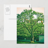 Baumpostkarte Postkarte (Vorne/Hinten)