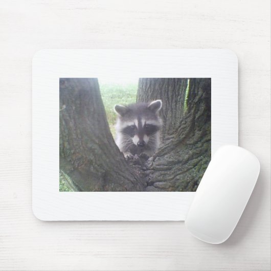 Baumraccoon Mousepad (Mit Mouse)