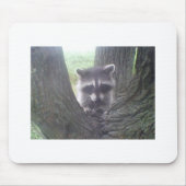 Baumraccoon Mousepad (Vorne)