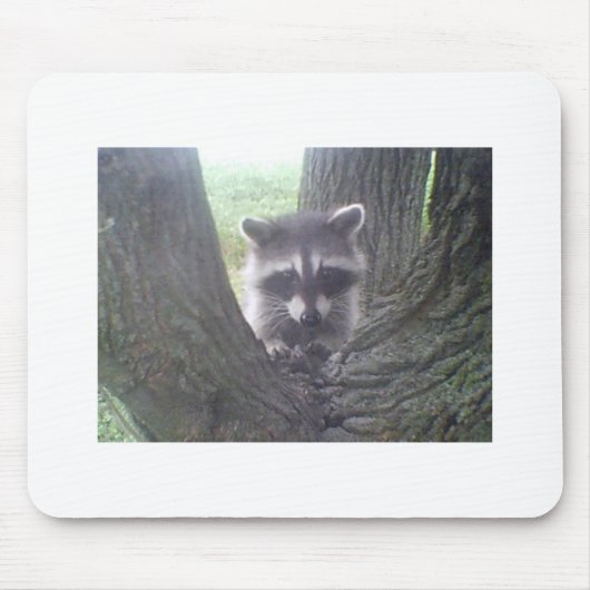 Baumraccoon Mousepad (Vorne)