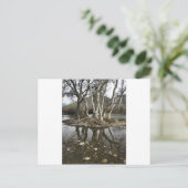 Baumreflektion Postkarte (Stehend Vorderseite)