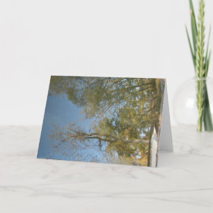 Baumreflexe an der Mühle Karte