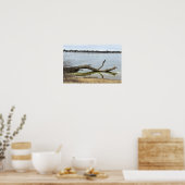 Baumreflexion im Fluss Poster (Küche)
