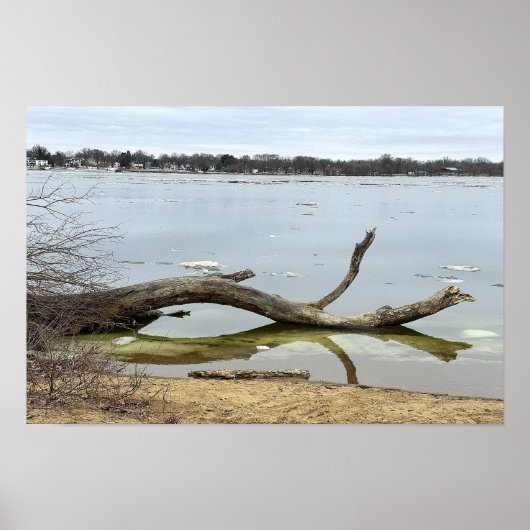 Baumreflexion im Fluss Poster (Vorne)