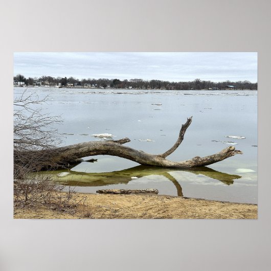 Baumreflexion im Fluss Poster (Vorne)