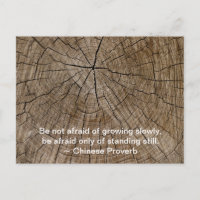 Baumreife wachsen langsam, inspirierendes Zitat