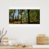 Baumreihe Poster (Küche)