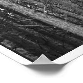 Baumreihe Poster (Ecke)