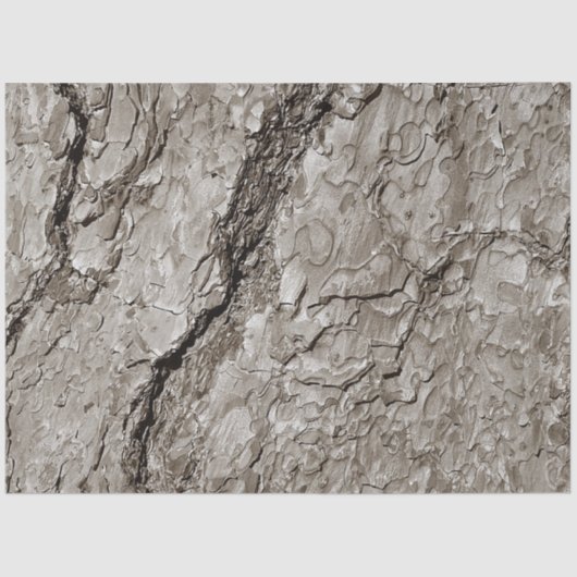 Baumrinde A Seidenpapier (Vorderseite)