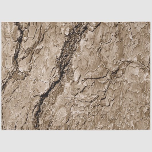 Baumrinde B Seidenpapier (Vorderseite)