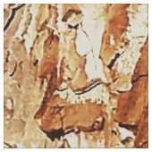 Baumrinde D Stoff (Nahaufnahme)