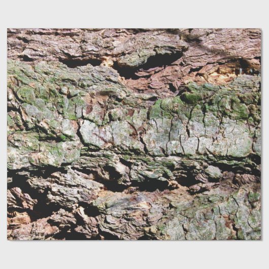 Baumrinde Geschenkpapier (Flach)