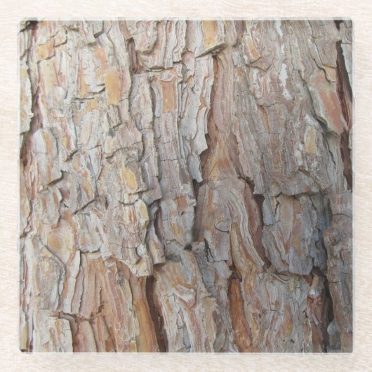Baumrinde Herbstmuster Glasuntersetzer (Vorderseite)