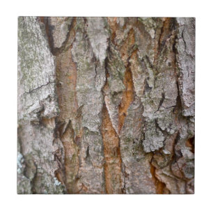 Baumrinde, Holz, Baum-Wald Fliese