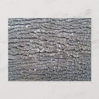 Baumrinde - Horizontal Postkarte