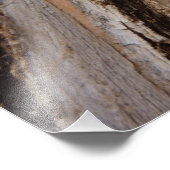 Baumrinde I Natürliche Abstrakte Textur Fotodruck (Ecke)