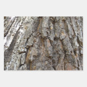 Baumrinde I Natürliche Abstrakte Textur Geschenkpapier Set (Vorderseite 2)