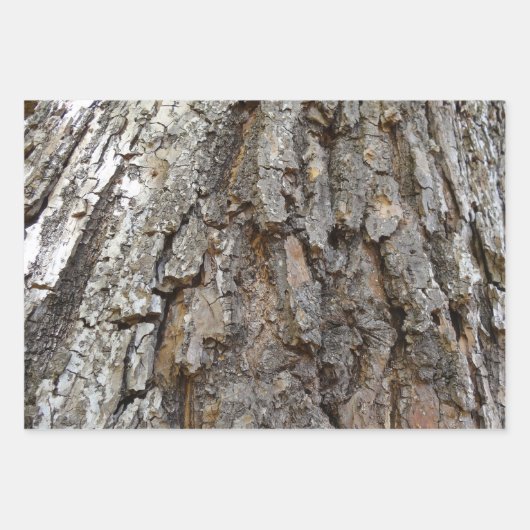 Baumrinde I Natürliche Abstrakte Textur Geschenkpapier Set (Vorderseite 2)