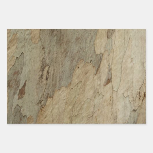 Baumrinde I Natürliche Abstrakte Textur Geschenkpapier Set (Vorderseite 3)