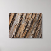 Baumrinde I Natürliche Abstrakte Textur Leinwanddruck (Vorderseite)