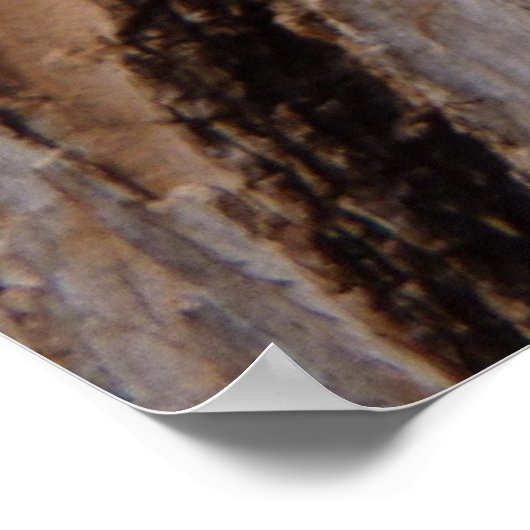 Baumrinde I Natürliche Abstrakte Textur Poster (Ecke)