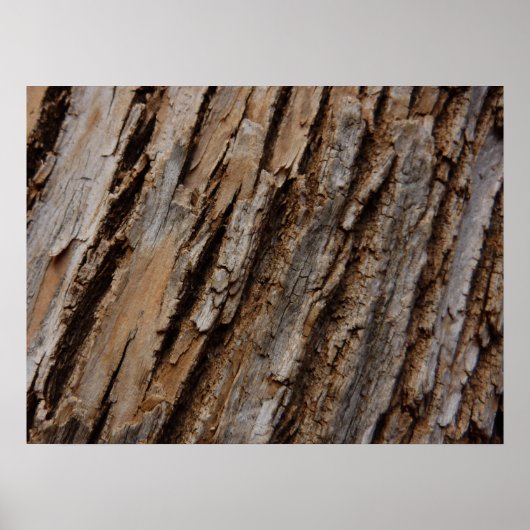 Baumrinde I Natürliche Abstrakte Textur Poster (Vorne)