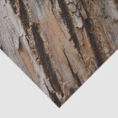 Baumrinde I Natürliche Abstrakte Textur Seidenpapier (Ausschnitt)