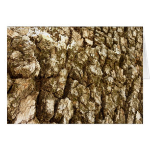 Baumrinde II Natürliche Texturdesign
