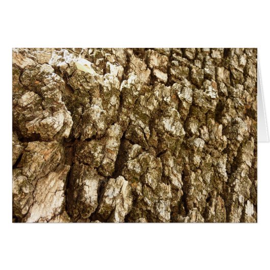 Baumrinde II Natürliche Texturdesign (Vorderseite (Horizontal))