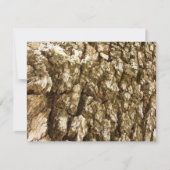 Baumrinde II Naturtexturierte Konstruktion (Vorderseite)