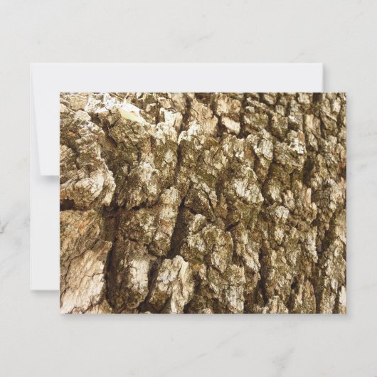 Baumrinde II Naturtexturierte Konstruktion (Vorderseite)