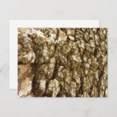 Baumrinde II Naturtexturierte Konstruktion (Vorne/Hinten)