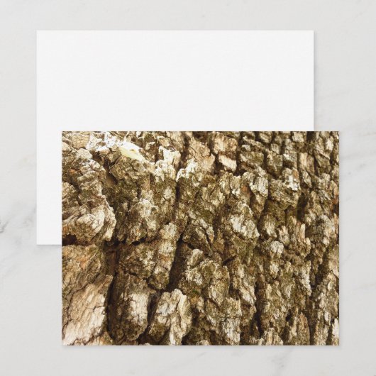 Baumrinde II Naturtexturierte Konstruktion (Vorne/Hinten)