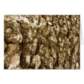 Baumrinde II Naturtexturierte Konstruktion (Vorderseite (Horizontal))