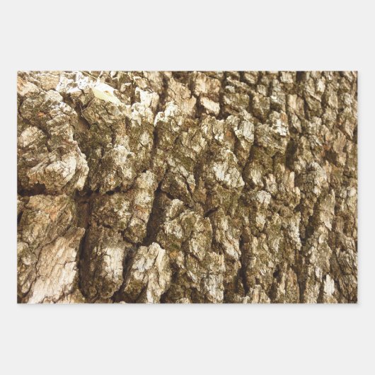 Baumrinde II Naturtexturierte Konstruktion Geschenkpapier Set (Vorderseite)