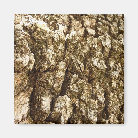 Baumrinde II Naturtexturierte Konstruktion Magnet (Vorne)