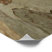 Baumrinde III Natürliche Abstrakte Textur Poster (Ecke)