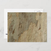 Baumrinde III Natürliche Abstrakte Textur Postkarte (Vorne/Hinten)