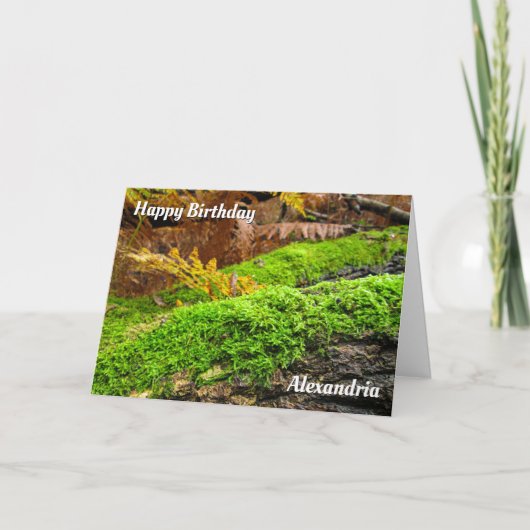 Baumrinde im Herbstmoos - benutzerdefinierte Gebur Karte (Vorderseite)