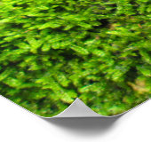 Baumrinde im Herbstmoos - Personalisiert Poster (Ecke)
