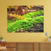Baumrinde in Herbstmoos - Leinwanddruck (Insitu (Wohnzimmer))