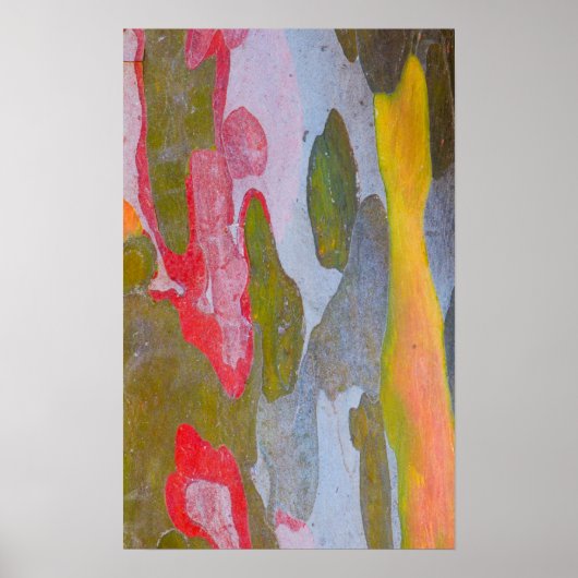 Baumrinde, Italien Poster (Vorne)